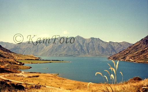 NZM101.jpg